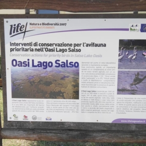 Oasi Lago Salso-Manfredonia